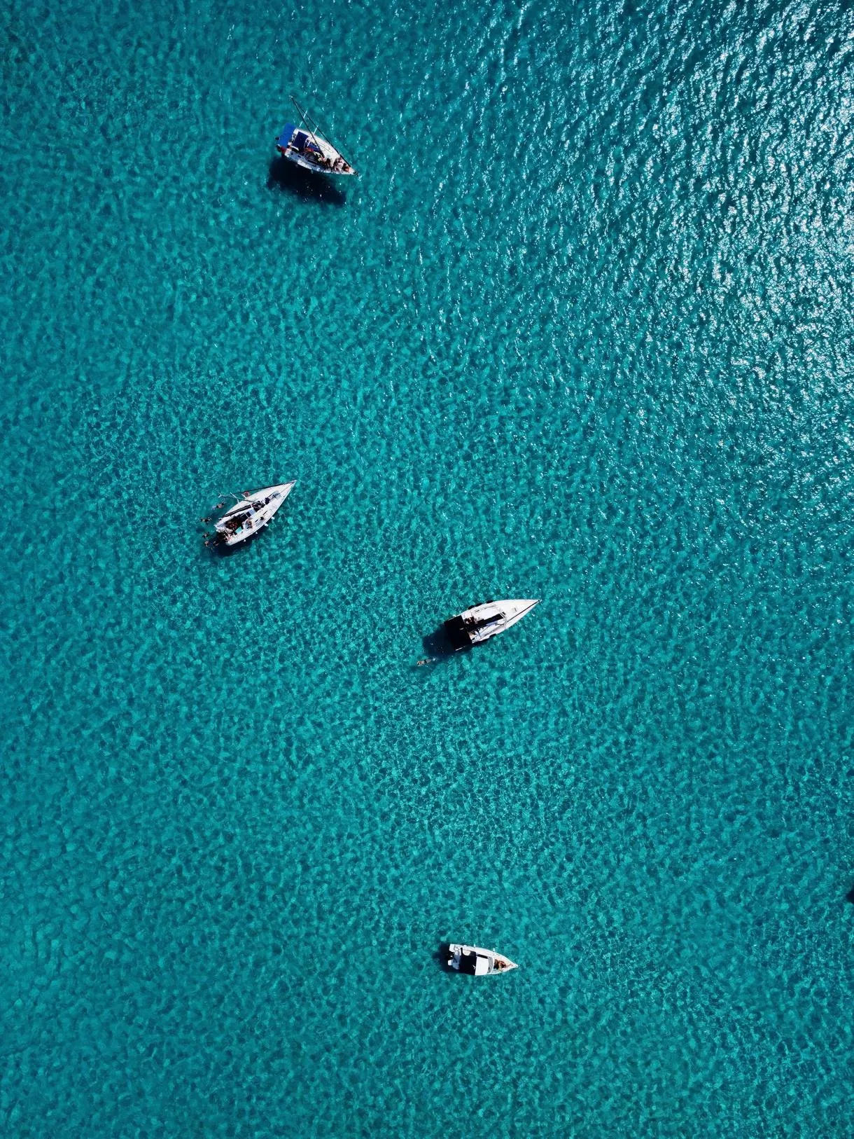 Day trip by sailing boat to Asinara from Stintino