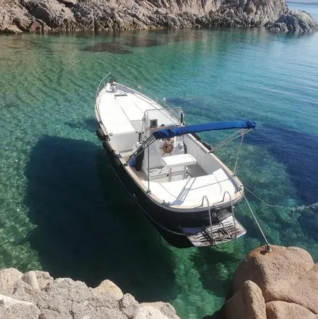 Escursione in barca da Golfo Aranci con avvistamento delfini