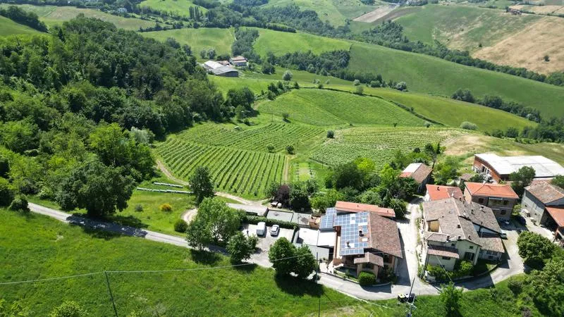 Degustazione vini e visita in cantina fuori Parma