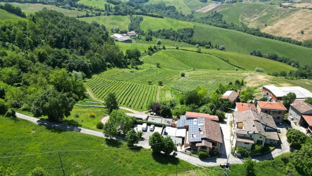 Degustazione vini e visita in cantina fuori Parma