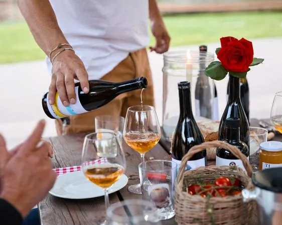 Degustazione di vino e olio all'Azienda Agricola Toscani a Casale Marittimo