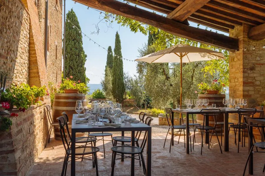 Degustazione vini nelle colline di Montespertoli