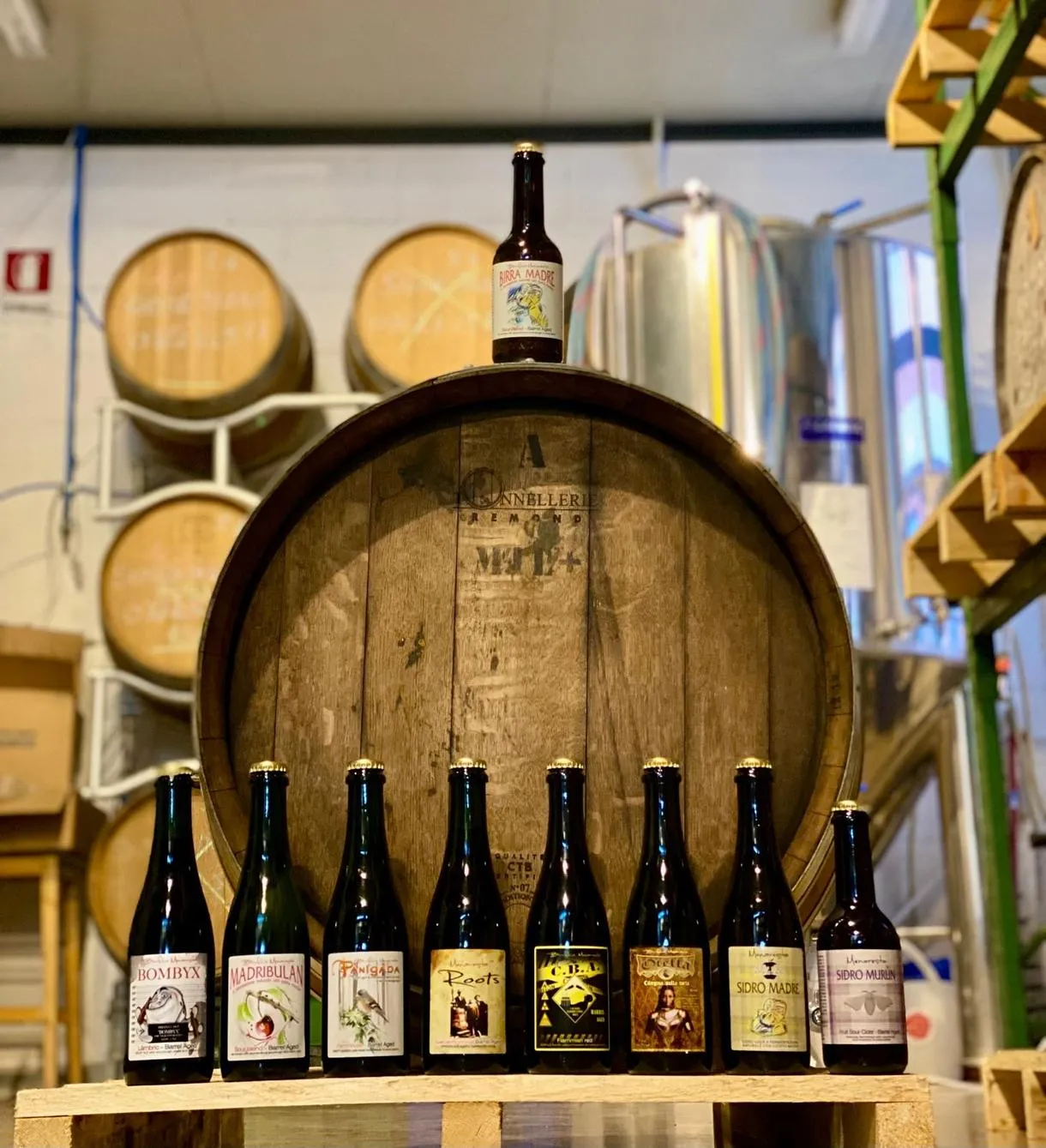 Beer tasting with aperitif in Carate Brianza