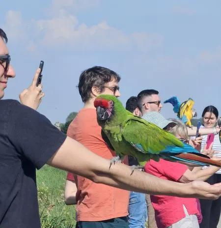 Esperienza con pappagalli nell'Oltrepò Pavese