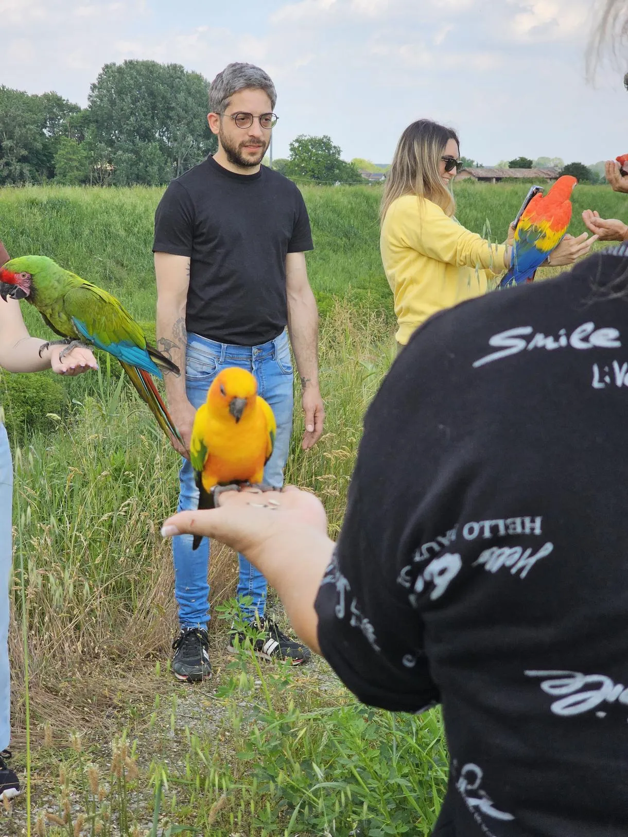 Esperienza con pappagalli nell'Oltrepò Pavese
