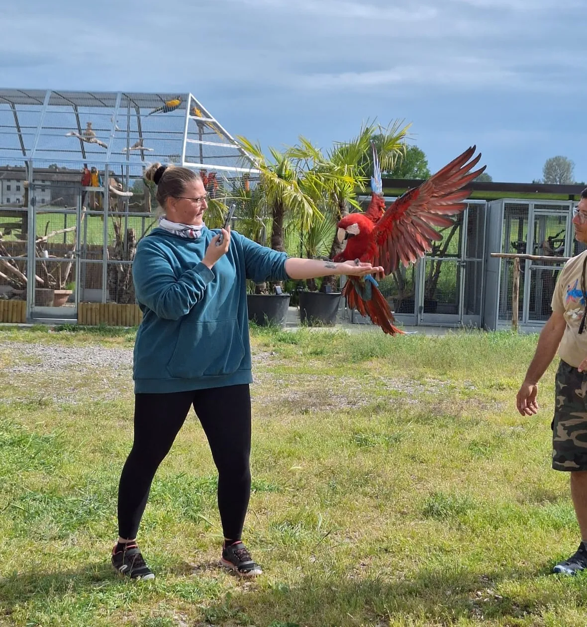 Esperienza con pappagalli nell'Oltrepò Pavese