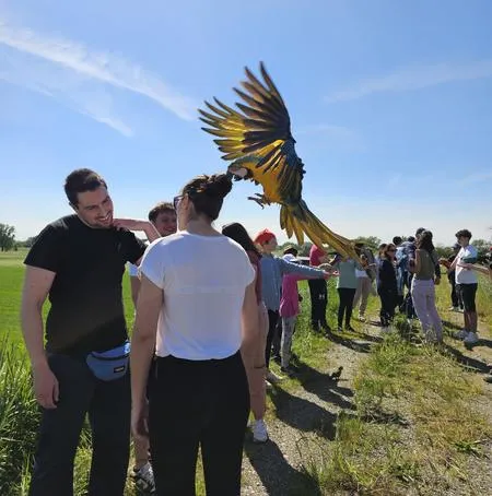 Passeggiata con pappagalli nell'Oltrepò Pavese