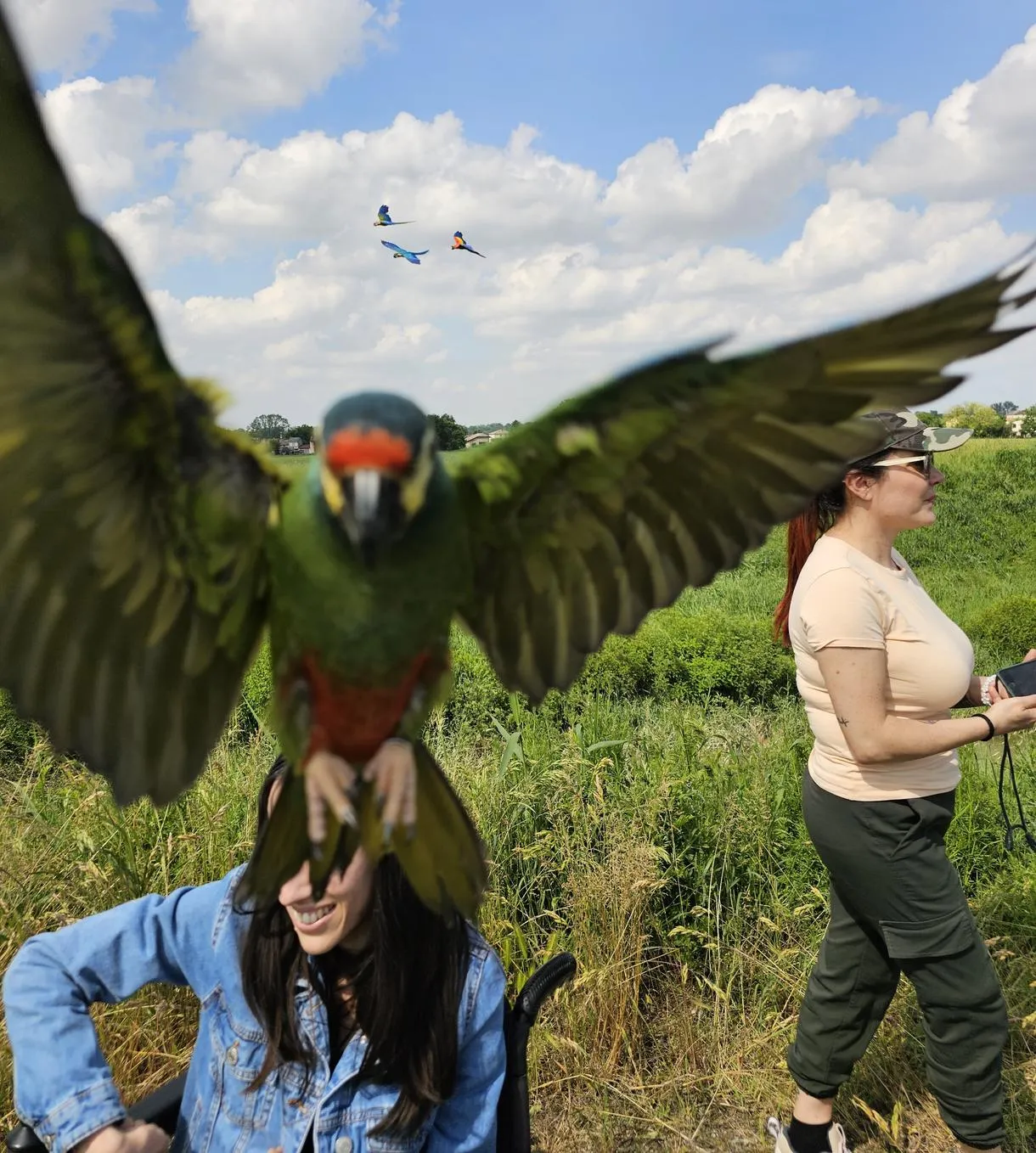 Passeggiata con pappagalli nell'Oltrepò Pavese