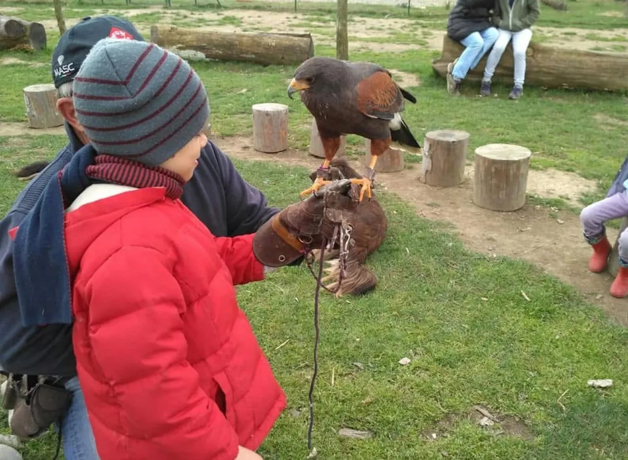 Falconiere per un giorno a Milano