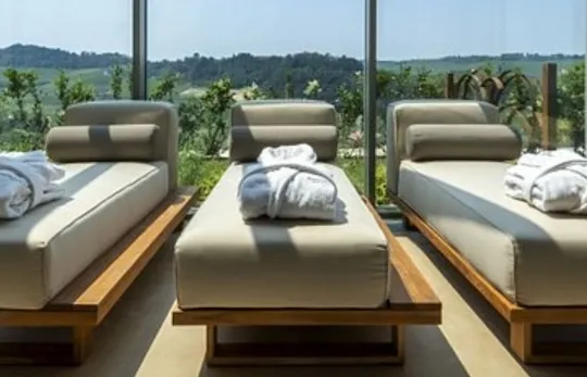 Wine Tasting and Spa Experience at Tenuta Bussia in Barolo