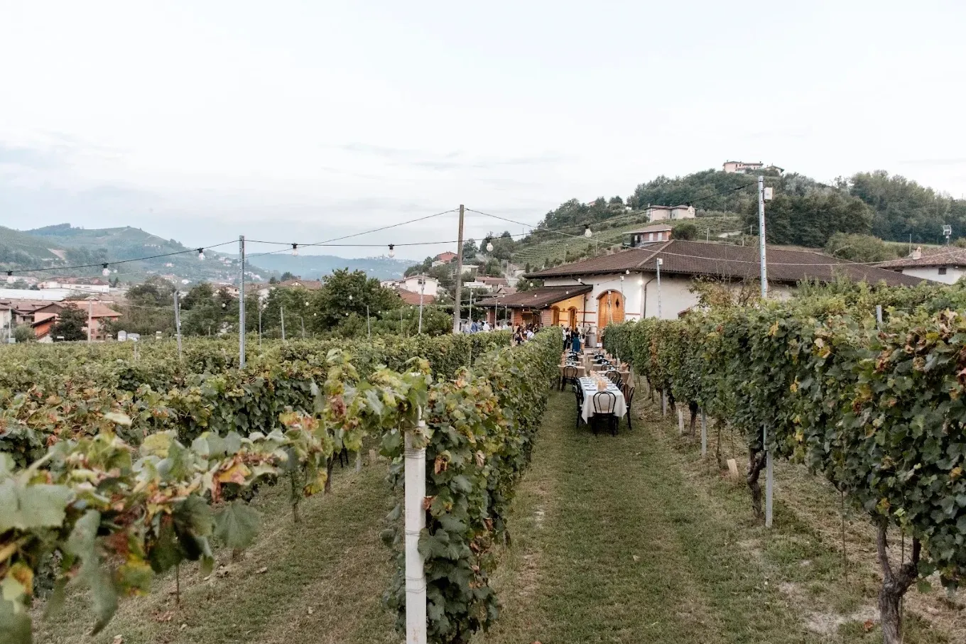 Degustazione vini con spa alla Tenuta Bussia di Barolo