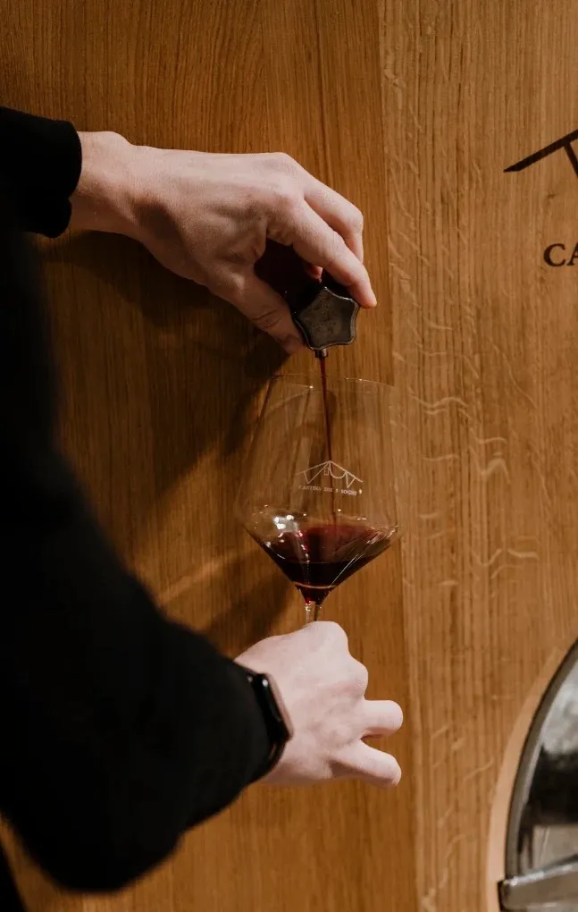 Degustazione vini con spa alla Tenuta Bussia di Barolo
