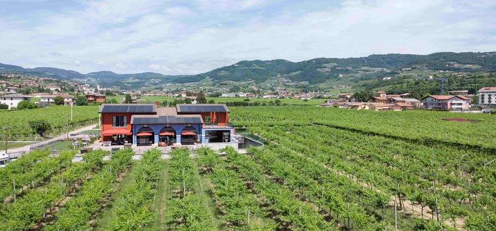 Degustazione vini a Negrar di Valpolicella