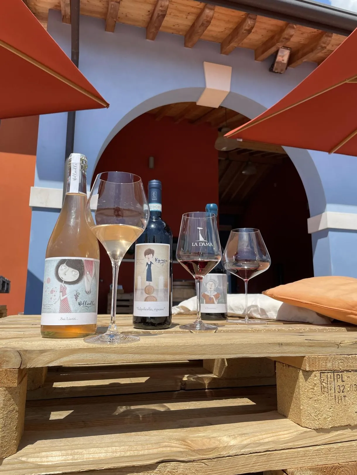 Degustazione vini a Negrar di Valpolicella