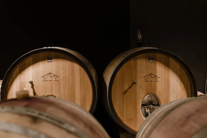 Wine tour in giornata - Barolo