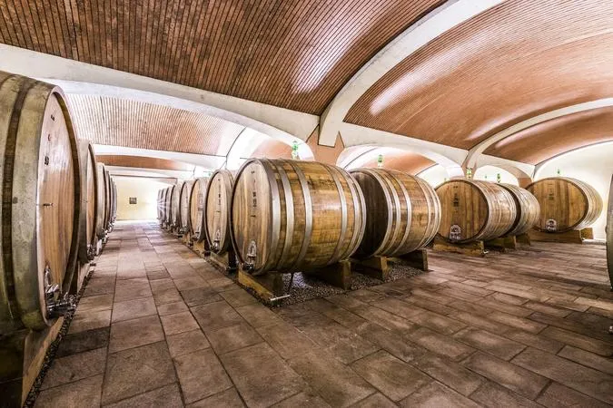 Wine tour in giornata Barolo e Barbaresco