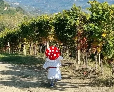 Passeggiata sulla Gnomovia con picnic