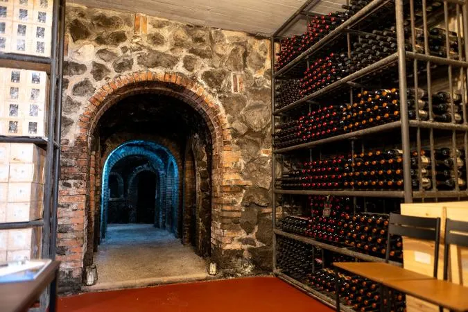 Degustazione vini con visita in cantina vicino a Frascati