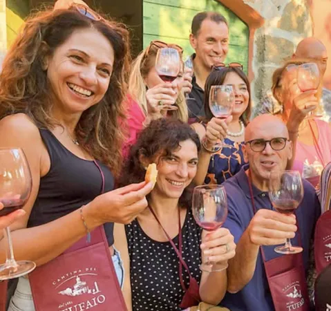 Degustazione di 3 vini