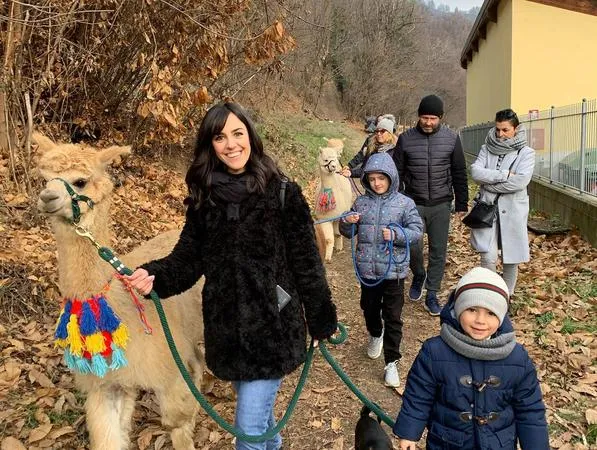 Passeggiata con alpaca in Valle Varaita fuori Cuneo