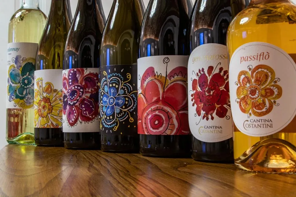 Degustazione vini a Genzano di Roma