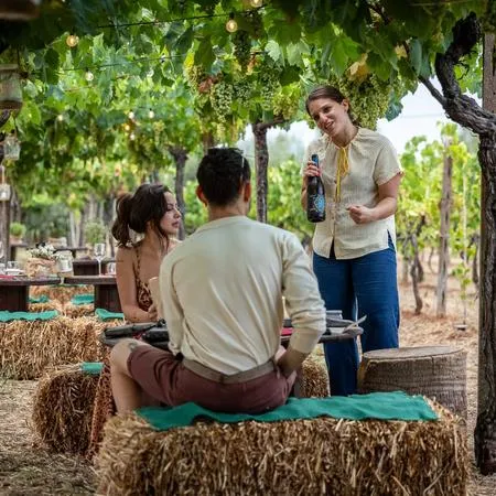 Cena in vigna con degustazione vini ai Castelli Romani