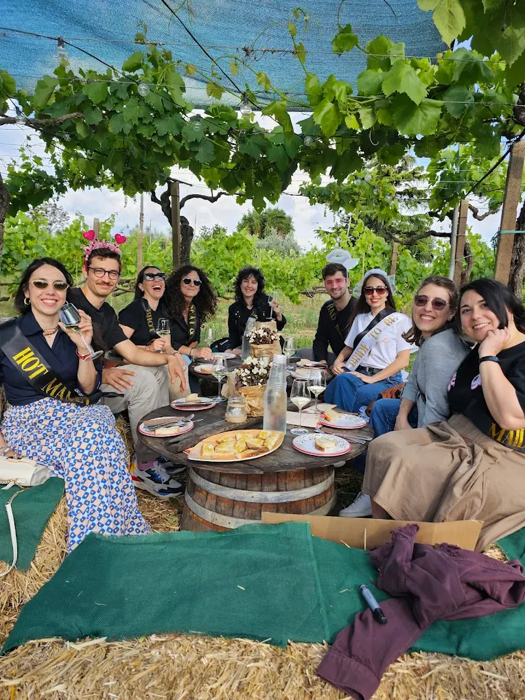 Cena in vigna con degustazione vini ai Castelli Romani
