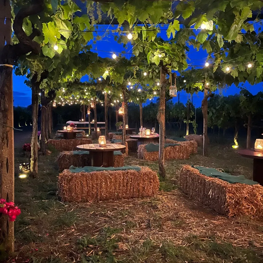 Cena in vigna con degustazione vini ad Ariccia
