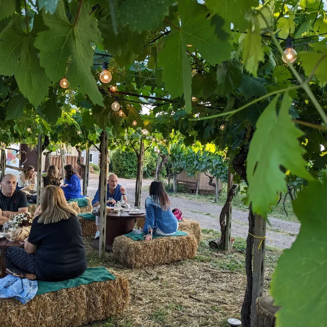 Cena in vigna con degustazione vini ad Ariccia