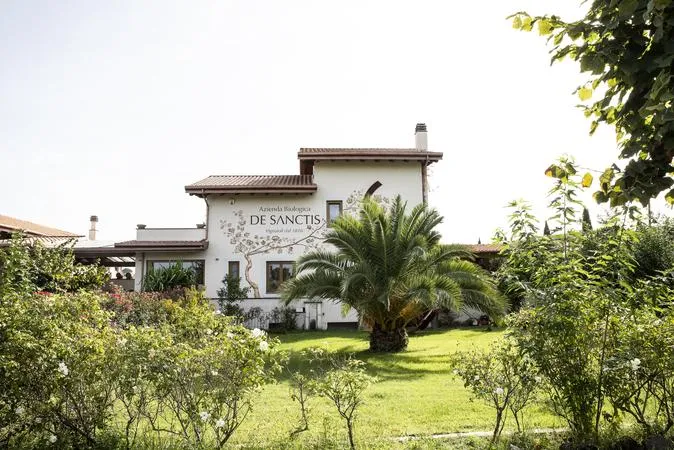 Degustazione vini e visita in cantina a Frascati fuori Roma