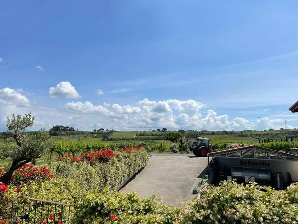 Degustazione vini e visita all'azienda biologica De Sanctis a Frascati