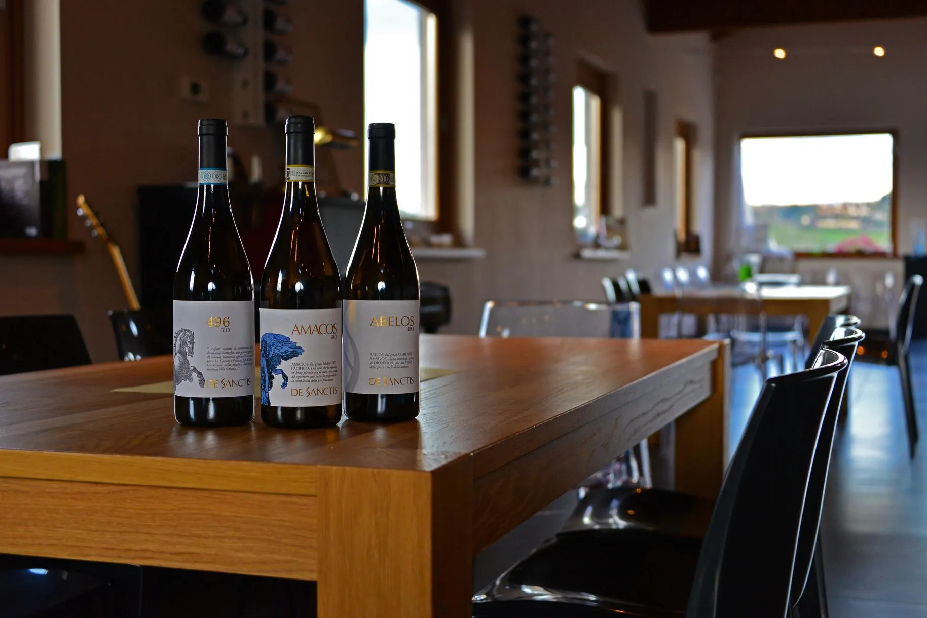 Degustazione vini e visita in cantina a Frascati fuori Roma