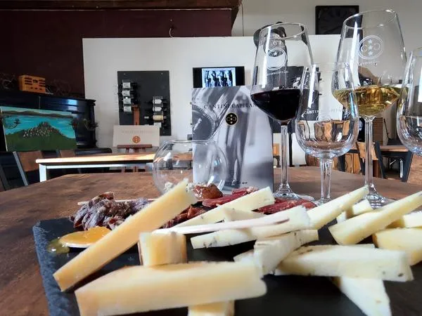 Vini e Colline di Capitani