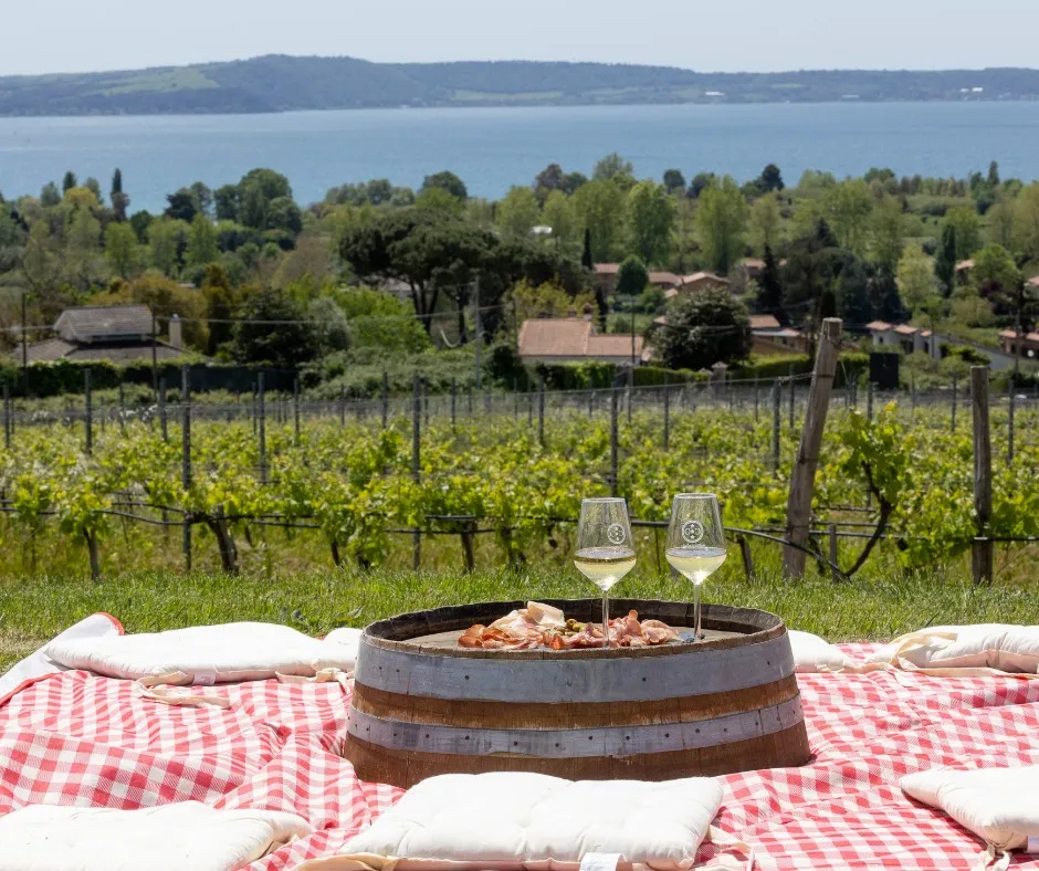 Picnic in vigna con vista sul Lago di Bracciano