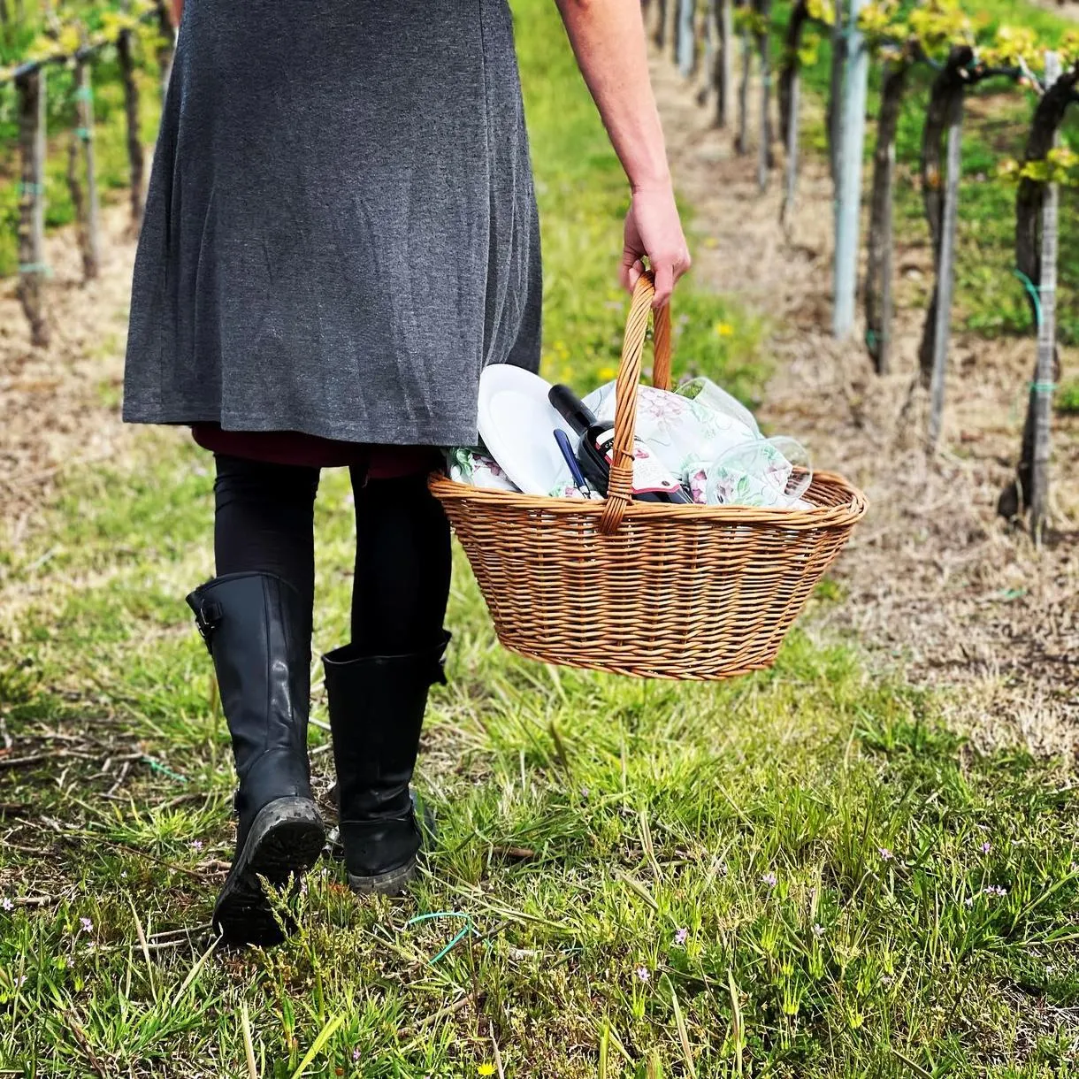 Picnic in vigna con vista sul Lago di Bracciano