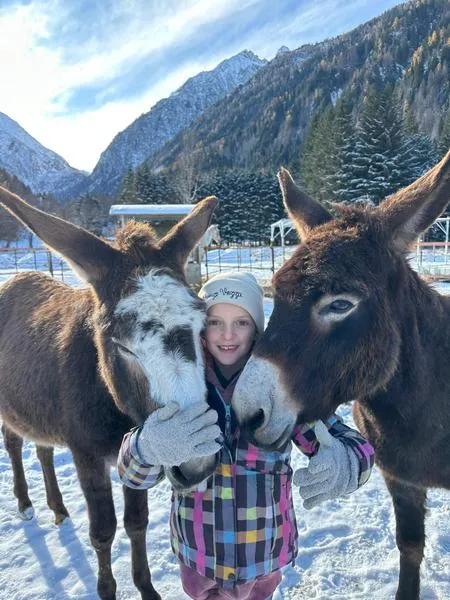 L'asinello di Santa Lucia