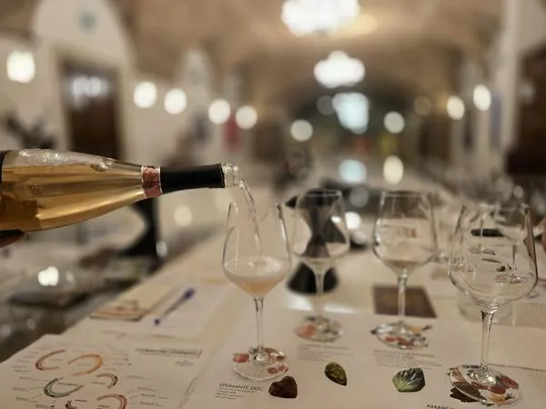 Degustazione di vino e cioccolato fuori Verona