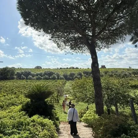 Visita in cantina e degustazione vini al Casale Mattia a Frascati