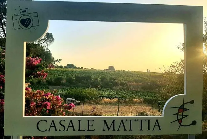Visita con degustazione in tenuta a Frascati