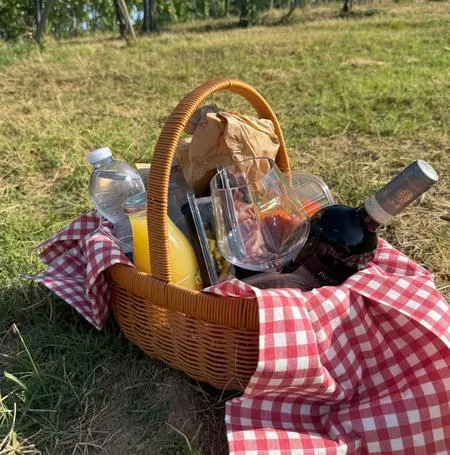 Picnic in vigna a San Gimignano