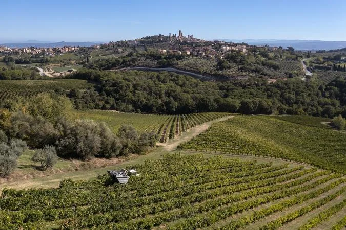 Degustazione vini alla Cantina Palagetto a San Gimignano