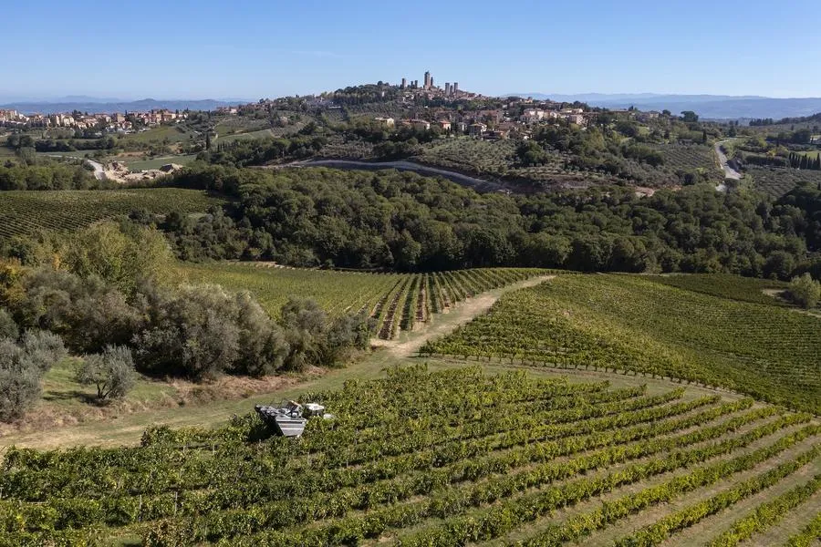 Degustazione vini alla Cantina Palagetto a San Gimignano