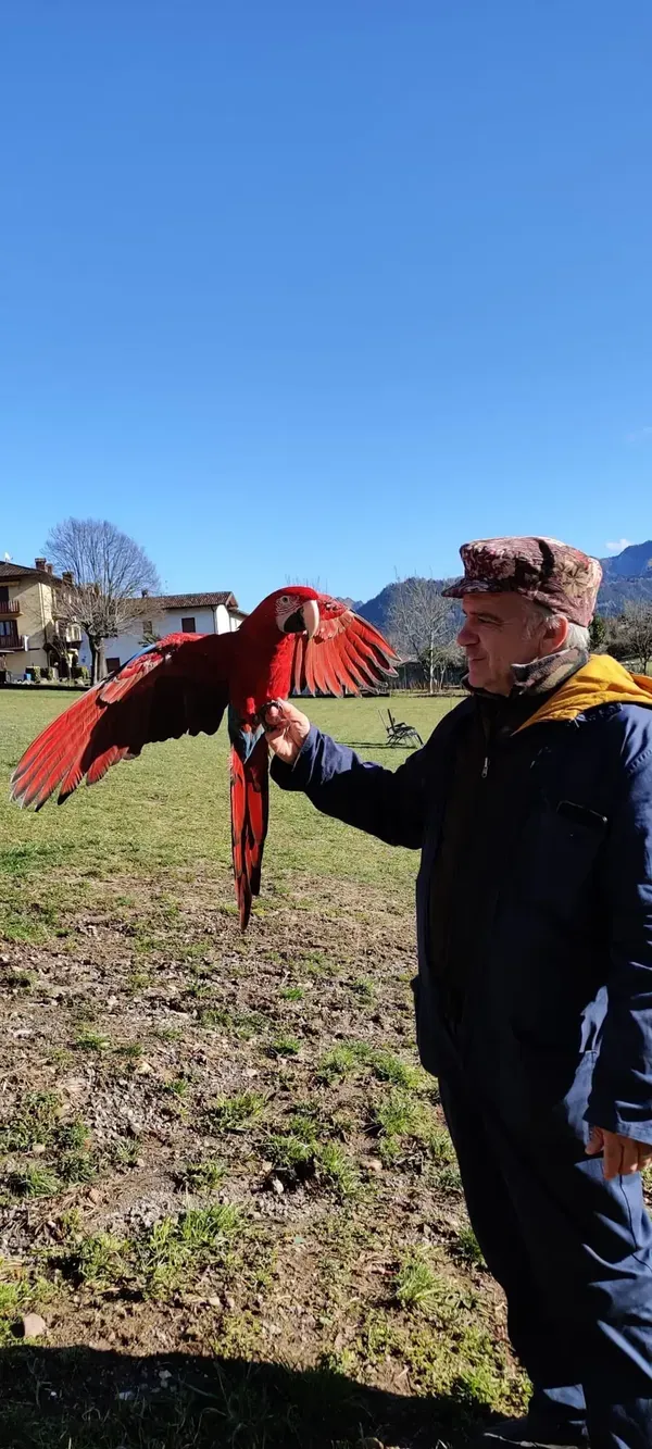 Visita agli animali della fattoria a Clusone