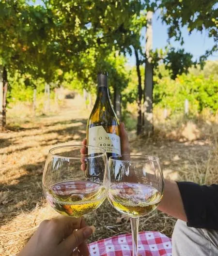 Picnic tra i vigneti di Casale Mattia a Frascati