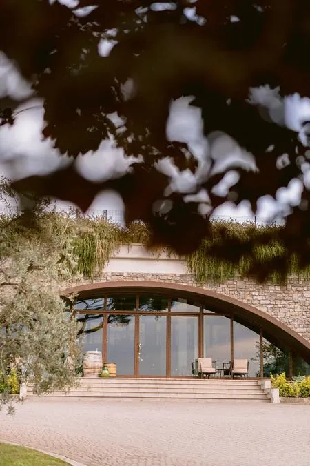 Degustazione vini alla Tenuta Merumalia a Frascati