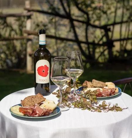 Degustazione vini alla Tenuta Merumalia a Frascati