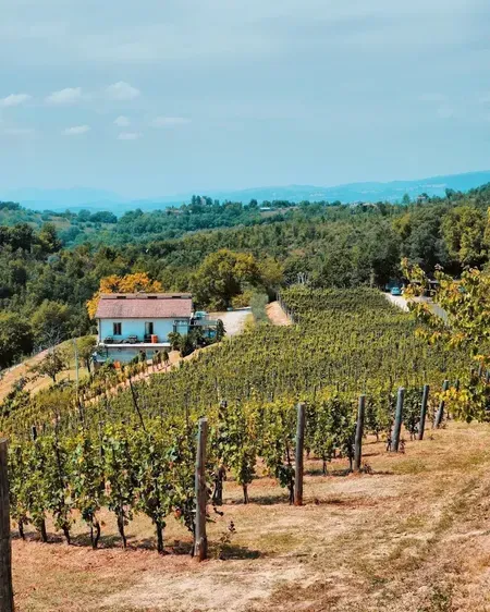Visita alla Cantina Le Macchie e degustazione vini a Rieti
