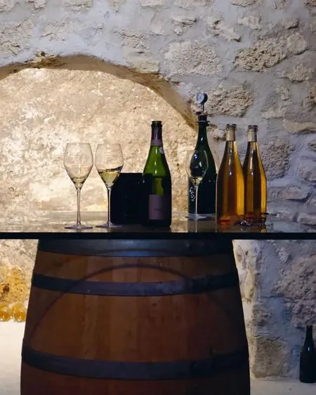 Visita alla Cantina Le Macchie e degustazione vini a Rieti