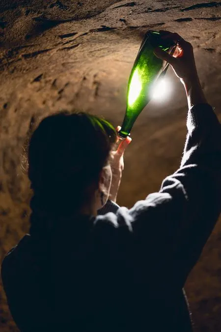 Evento 20 Dicembre 2025 - Degustazione di 5 vini