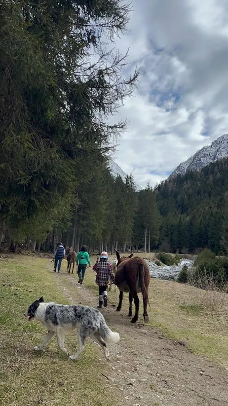 Passeggiata con l'asino